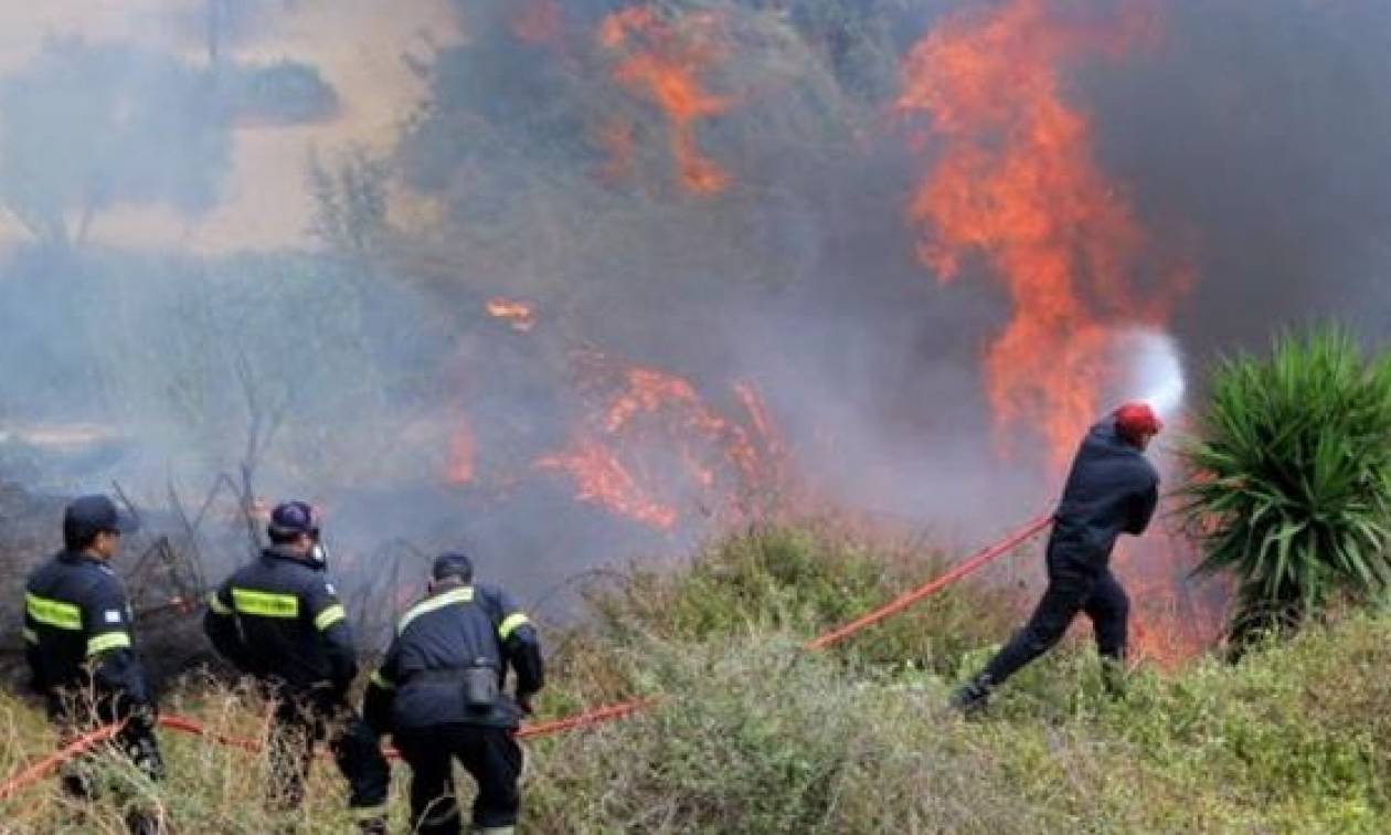 Φωτιά στα Καλύβια Αττικής