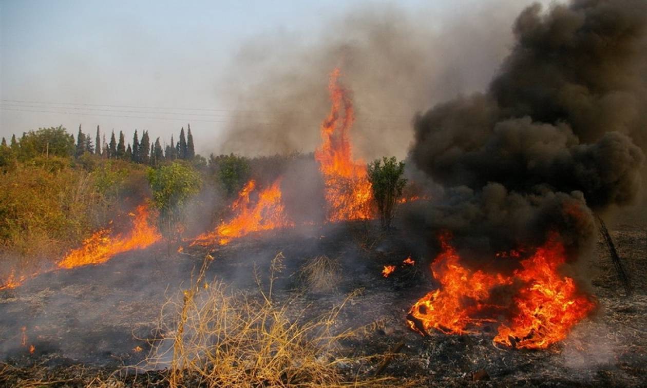 Μεσολόγγι: Έκτακτη σύσκεψη για τη μεγάλη φωτιά στην περιοχή του Αγίου Γεωργίου