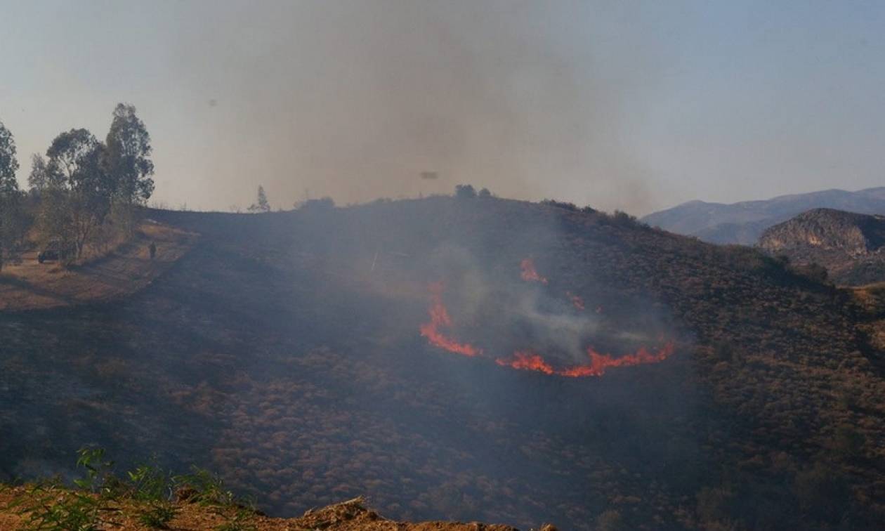 Υπό μερικό έλεγχο οι πυρκαγιές στο νομό Χανίων