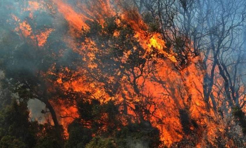 Μεσολόγγι: Υπό μερικό έλεγχο η φωτιά στην Παλαιομάνινα Αγρινίου