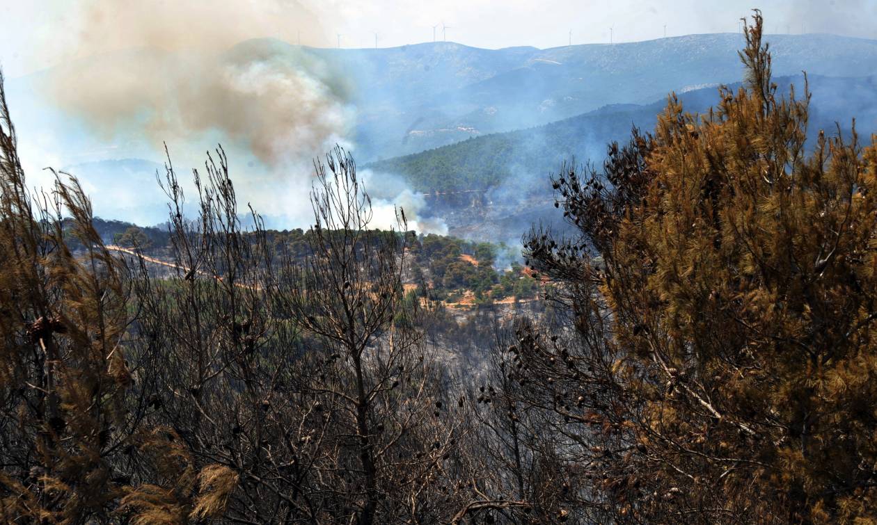 Πυρκαγιά στο Λαγκαδά Θεσσαλονίκης