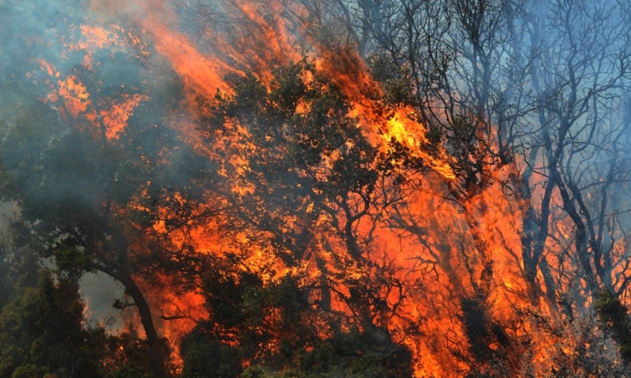 Δύο νέα πύρινα μέτωπα στην Κρήτη