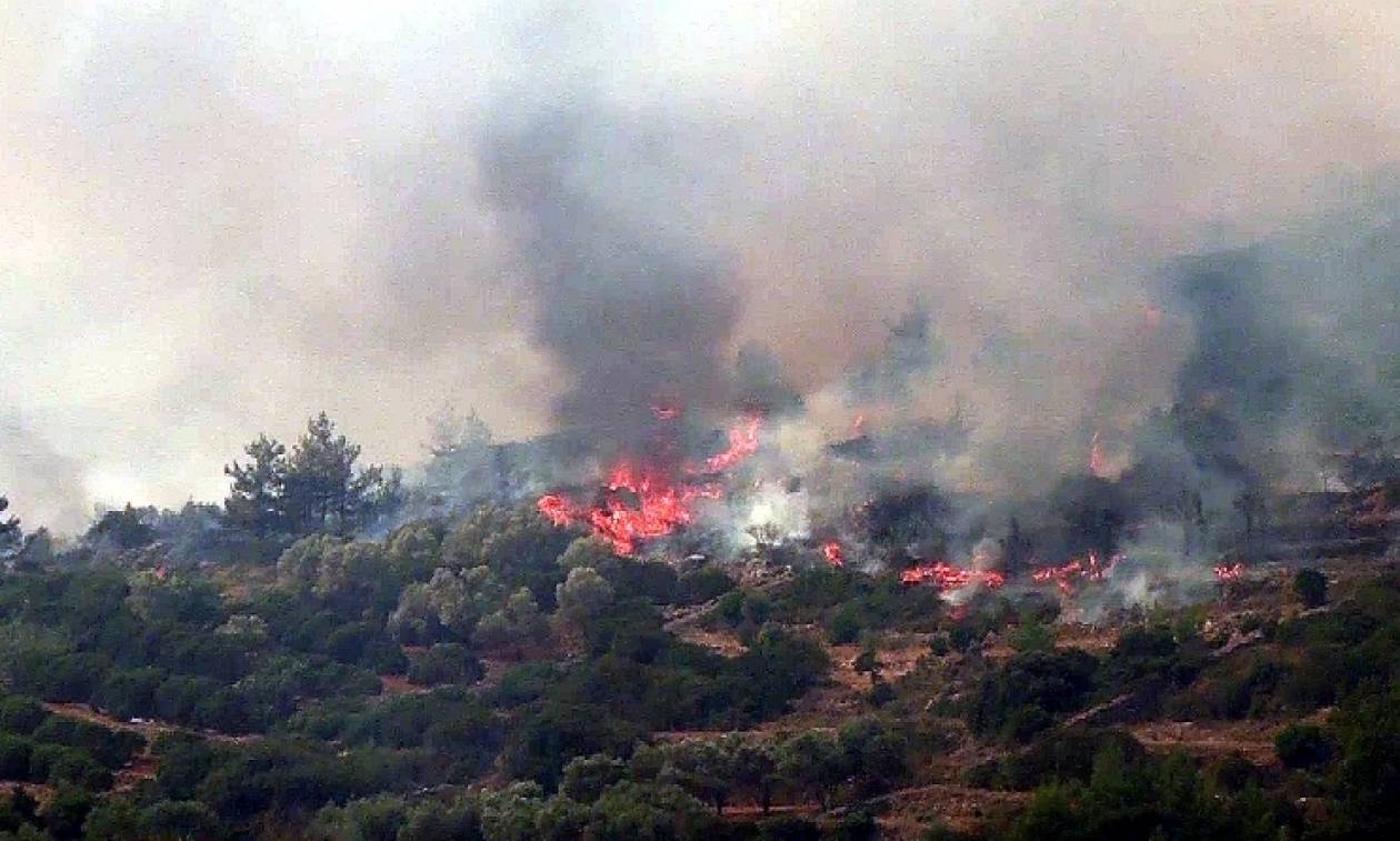 Υπό έλεγχο η φωτιά στο Μέγα Σπήλαιο Καλαβρύτων – Μέτωπα σε Μεσσηνία και Λακωνία