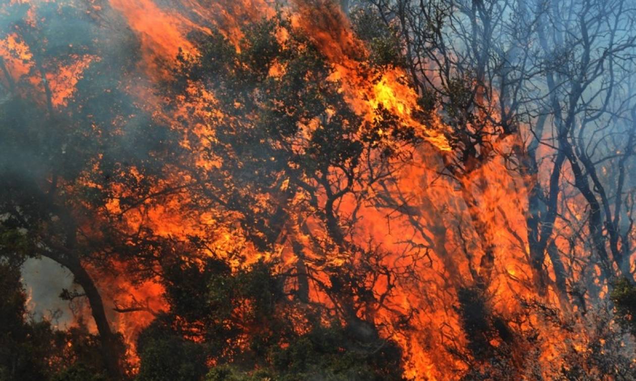 Πυρκαγιά στην Κοσμηρά Ιωαννίνων