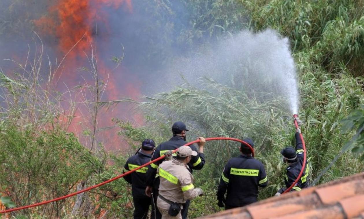 Πυρκαγιά σε εξέλιξη στην Κάρυστο