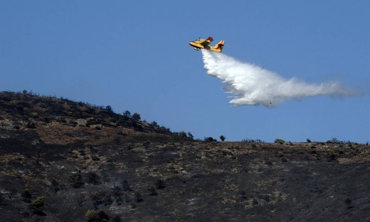 Τουλάχιστον 87 πυρκαγιές το τελευταίο 24ωρο