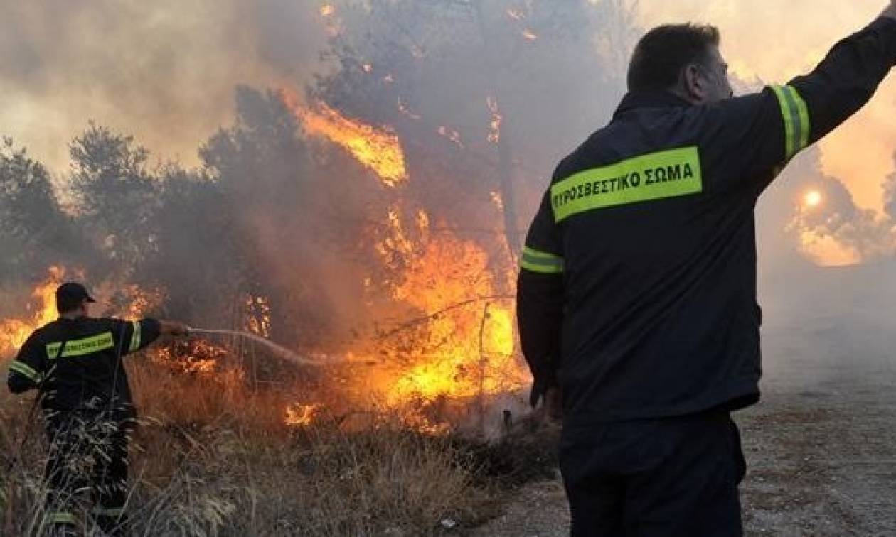 Φωτιές ΤΩΡΑ σε Χαλκιδική και Μεσολόγγι