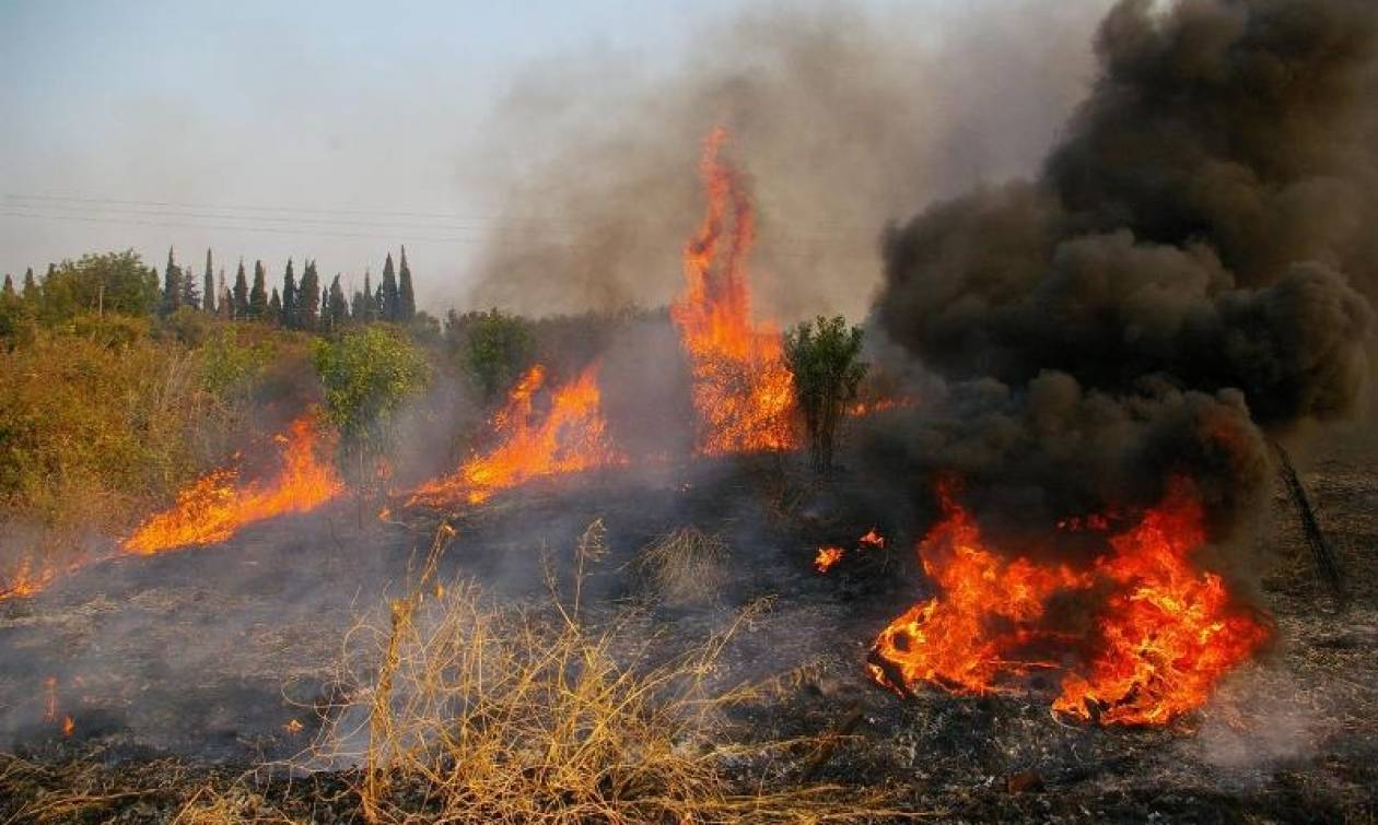 Φωτιά σε εξέλιξη στη Λάρισα