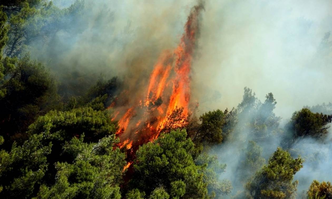 Σε εξέλιξη φωτιά στην Κέρκυρα