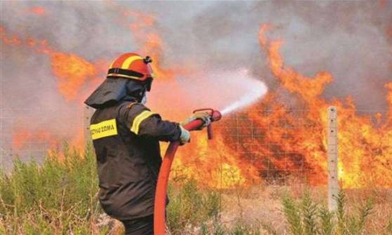 Υπό έλεγχο η φωτιά στα Χανιά