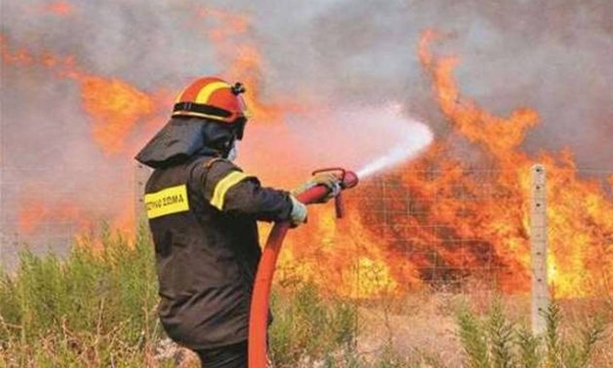 Ρέθυμνο: Μεγάλη φωτιά στον Άγιο Μάμα