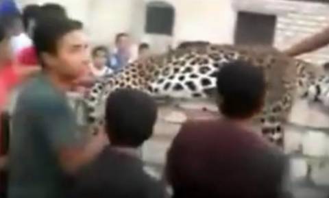 Βίντεο σοκ: Λεοπάρδαλη ξέφυγε από καταφύγιο άγριων ζώων και σκότωσε 9χρονη