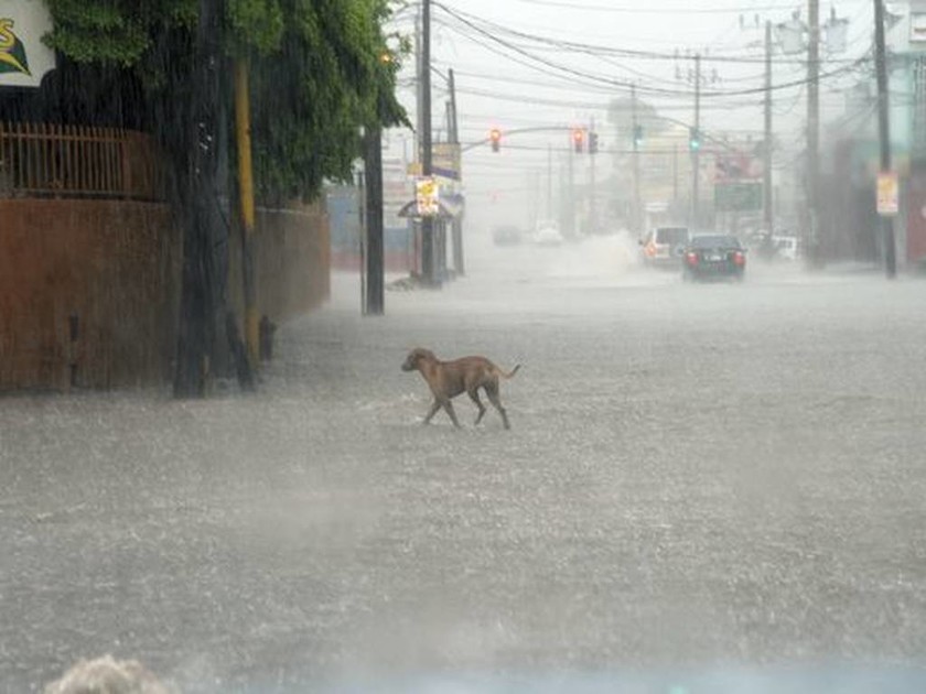 Ο τυφώνας Μάθιου σαρώνει την Αϊτή (pics+video)