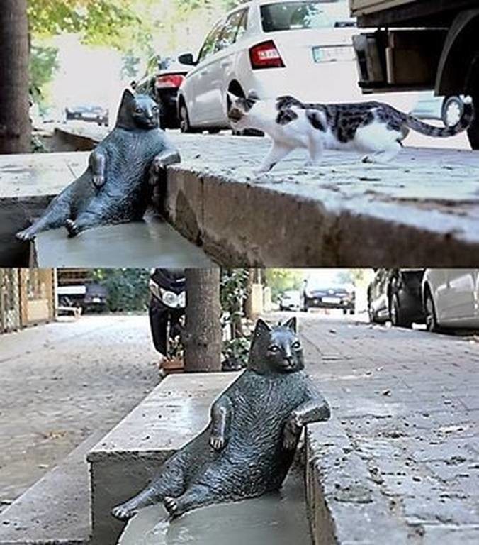 Η πιο διάσημη γάτα της Κωνσταντινούπολης τιμήθηκε με το δικό της άγαλμα στο αγαπημένο της σημείο