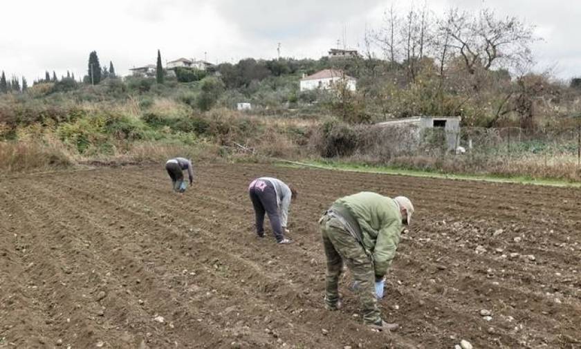 ΕΛΓΑ: Αποζημιώσεις 1,2 εκατ. ευρώ σε αγρότες