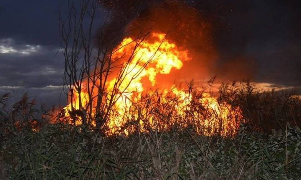 Παραδόθηκε και ομολόγησε ο δράστης της πυρκαγιάς της Άνδρου