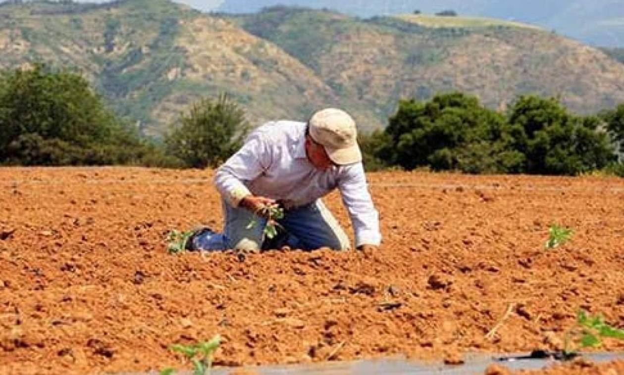 Πότε θα δοθούν οι συντάξεις Νοεμβρίου από τον ΟΓΑ