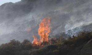 Συναγερμός στη Μυτιλήνη για μεγάλη πυρκαγιά στη Μόρια