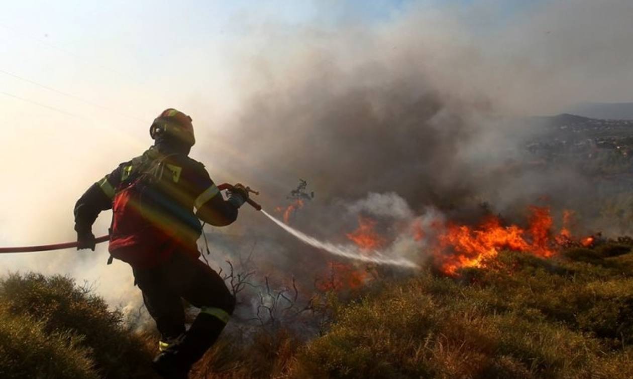 Συναγερμός στο Λασίθι για μεγάλη πυρκαγιά