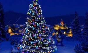 Χριστούγεννα 2016: Δείτε πού βρίσκεται το μεγαλύτερο φυσικό χριστουγεννιάτικο δέντρο (pics&vid)