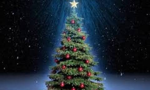 Από το παραδοσιακό Χριστόξυλο στο Χριστουγεννιάτικο δένδρο...