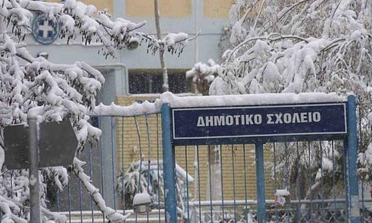 Δείτε πως θα λειτουργήσουν την Τετάρτη (21/12) τα σχολεία σε Φλώρινα και Γρεβενά