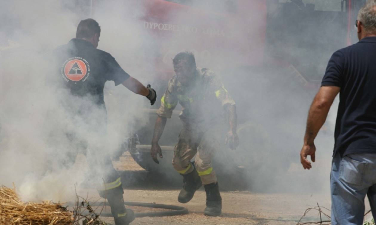 «Θα μας σκότωναν οι τσιγγάνοι»! Συγκλονισμένοι οι πυροσβέστες από την αιματηρή επίθεση