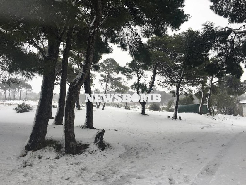 Καιρός Live: Ξεκινά το δεύτερο κύμα χιονιά - Θα χιονίσει πάλι στο κέντρο της Αθήνας