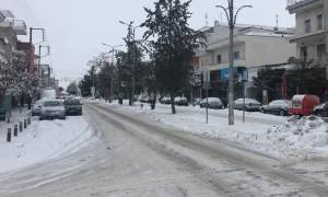 Χιονιάς Αριάδνη: Έντυσε στα... λευκά την Ορεστιάδα από το πρωί (vid)