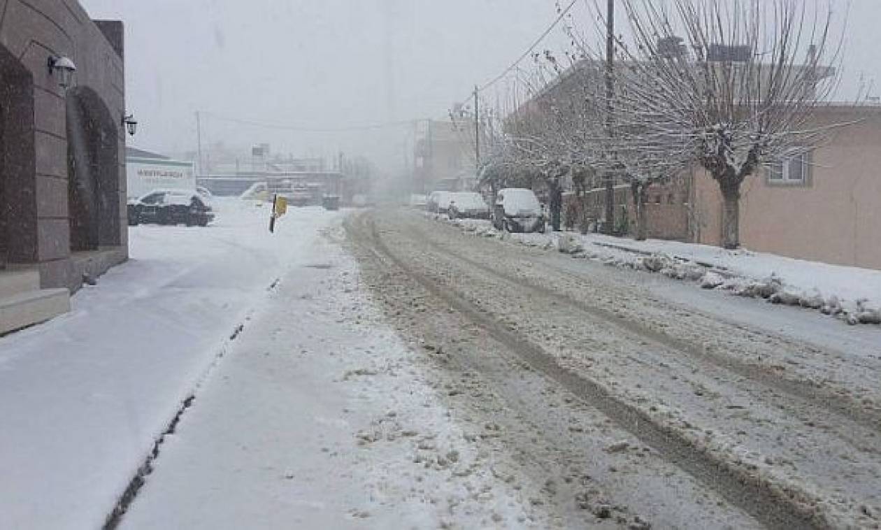 Καιρός: Χιόνια από τον Ψηλορείτη μέχρι την παραλία - Κλειστά αύριο τα σχολεία