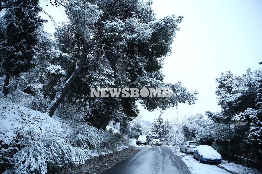 Καιρός LIVE: Ο χιονιάς πάγωσε την Αθήνα - Το έστρωσε παντού - Κλειστοί δρόμοι και σχολεία (pics)