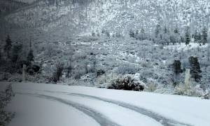 Καιρός - Λάρισα: Απίστευτο - Δεν φαντάζεστε τι έκανε στη μέση του δρόμου την ώρα που χιόνιζε (vid)
