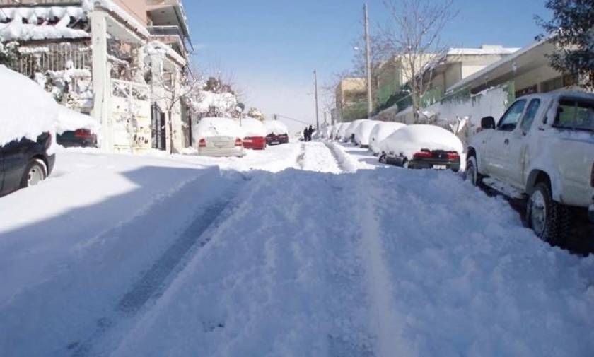 Καιρός: Σε απόγνωση οι αγρότες στην ανατολική Κρήτη από τη χιονόπτωση