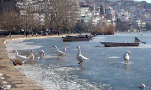 Καιρός: Πάγωσε η μικρή Πρέσπα και η λίμνη της Καστοριάς (pics)