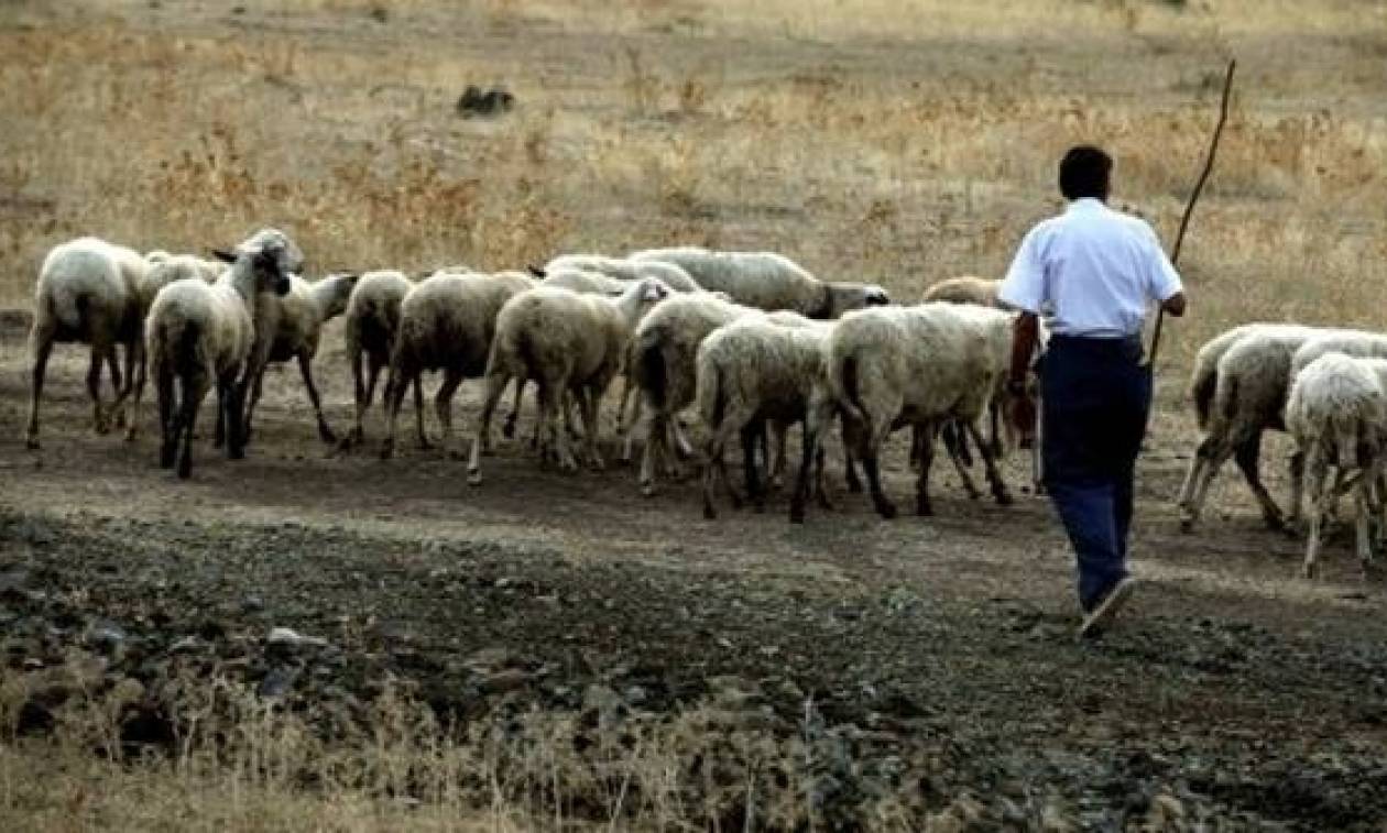 Καιρός - Άμεσα οι αποζημιώσεις των γεωργοκτηνοτρόφων