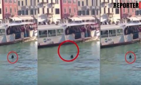 Σάλος στη Βενετία: Μετανάστης πνίγηκε γιατί κανείς δεν βούτηξε να τον βοηθήσει (ΣΚΛΗΡΕΣ ΕΙΚΟΝΕΣ)