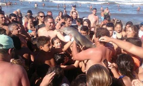 Αργεντινή: Νέος φρικτός θάνατος μικρού δελφινιού από τουρίστες που ήθελαν... selfie (video+photos)
