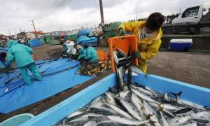 Φτωχότεροι κατά 75,4% οι ψαράδες την τελευταία δεκαετία