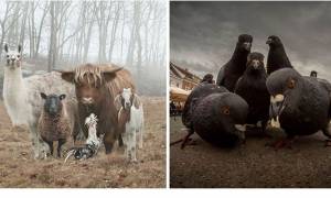 Born to Be Wild: Αυτές είναι οι πιο ροκ φωτογραφίες στο ζωικό βασίλειο