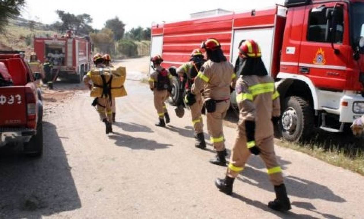 Συναγερμός στη Θεσσαλονίκη: Έρευνες για αγνοούμενο στην λίμνη του Αγίου Βασιλείου