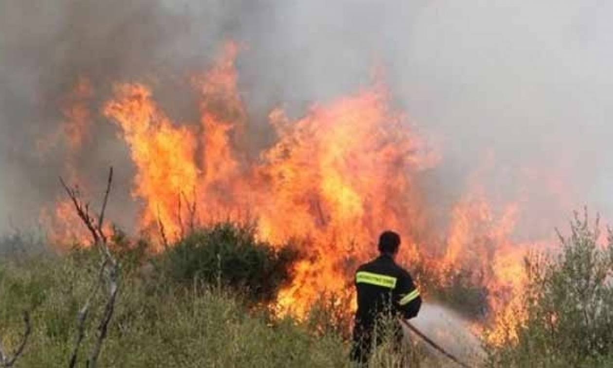 Πυρκαγιά στην Μαλάξα Χανίων