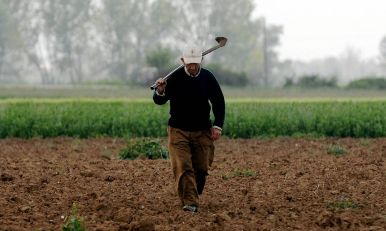 Κόκκινα αγροτικά δάνεια: Έτσι θα γίνει η διαγραφή τους