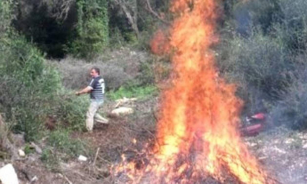 Γενική απαγορεύση καύσης κλαδιών