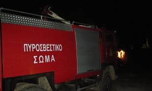 Υπό μερικό έλεγχο η φωτιά στην Πούντα Αιγιαλείας - Κατασβέστηκε η πυρκαγιά στα «Μάρμαρα»
