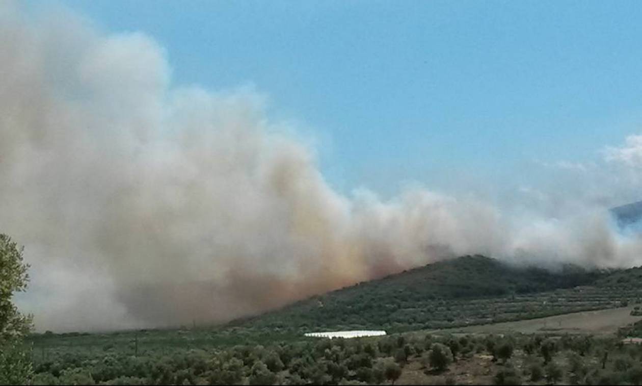 Φωτιά μαίνεται στο Σούλι Λακωνίας