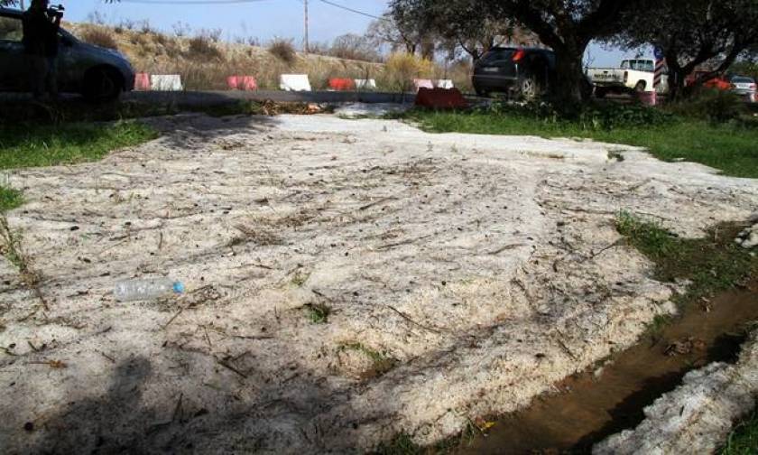 Έβρος: Η χαλαζόπτωση κατέστρεψε ολοσχερώς 30.000 στρέμματα καλλιεργειών