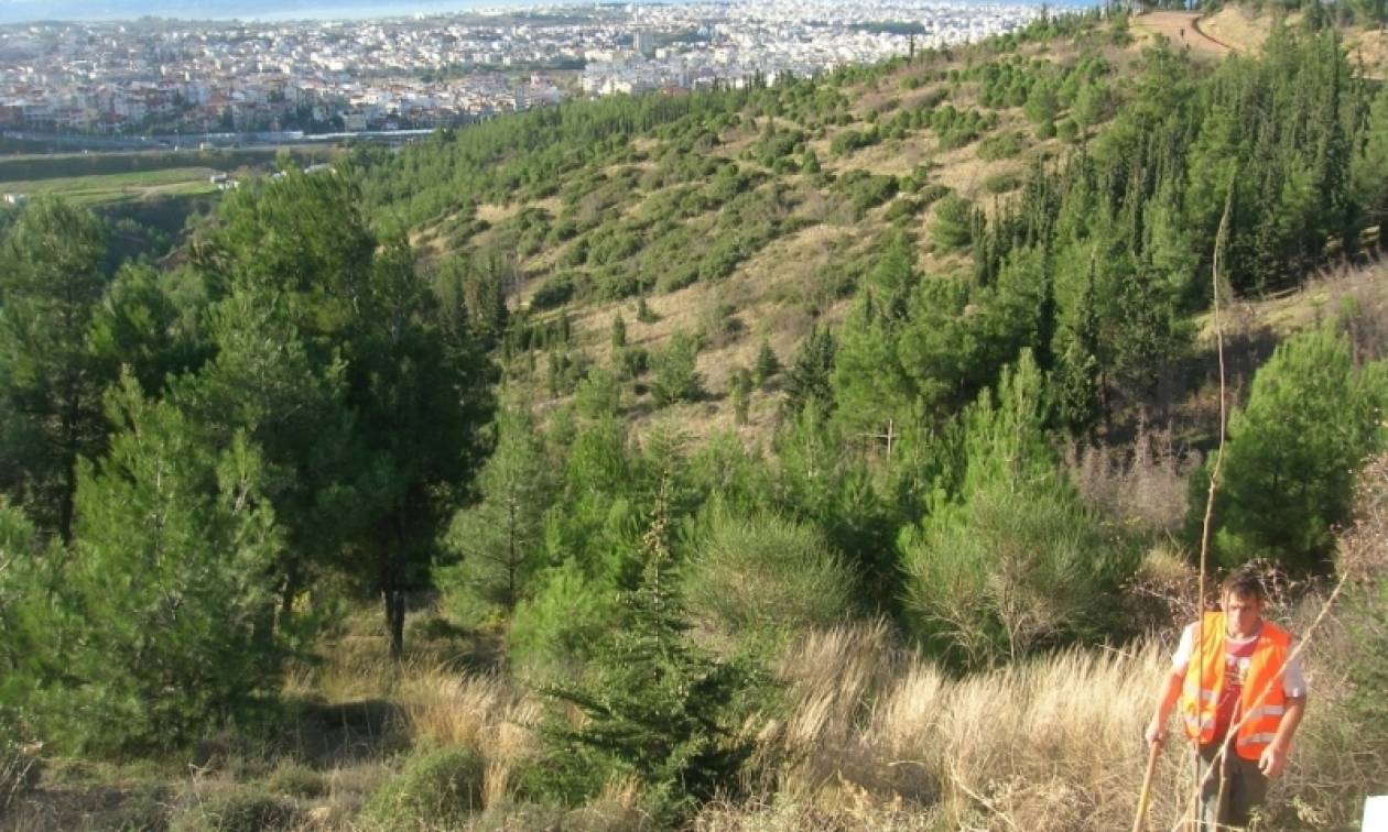 Συναγερμός στη Θεσσαλονίκη: Βρέθηκε βλήμα στο Σέιχ Σου