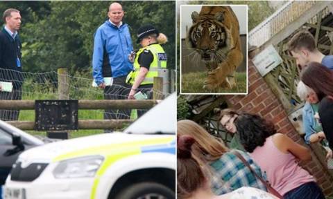 Τρόμος σε ζωολογικό κήπο: Τίγρης κατασπάραξε υπάλληλο (pics+vid)