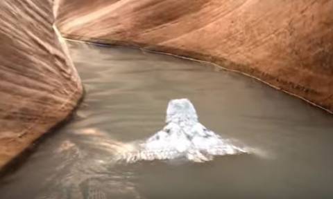 Σπάνιο βίντεο: Κουκουβάγια κολυμπάει για να σώσει τη ζωή της!