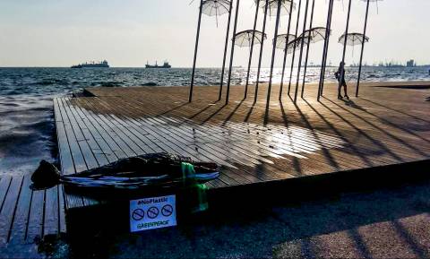 Θεσσαλονίκη: Ένα δελφίνι από ...πλαστικά «ξέβρασε» η θάλασσα στην παραλία της πόλης (pics)